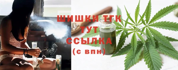 ешки Аркадак
