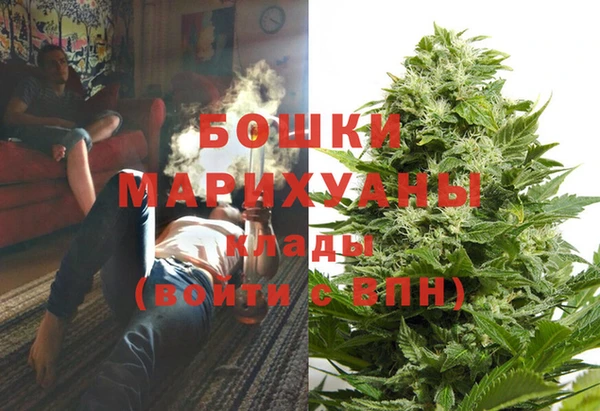 ешки Аркадак