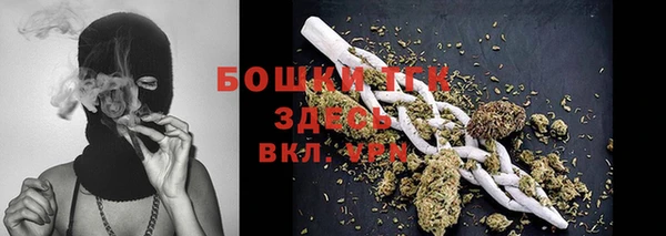 ешки Аркадак