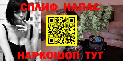 не бодяженный Тула