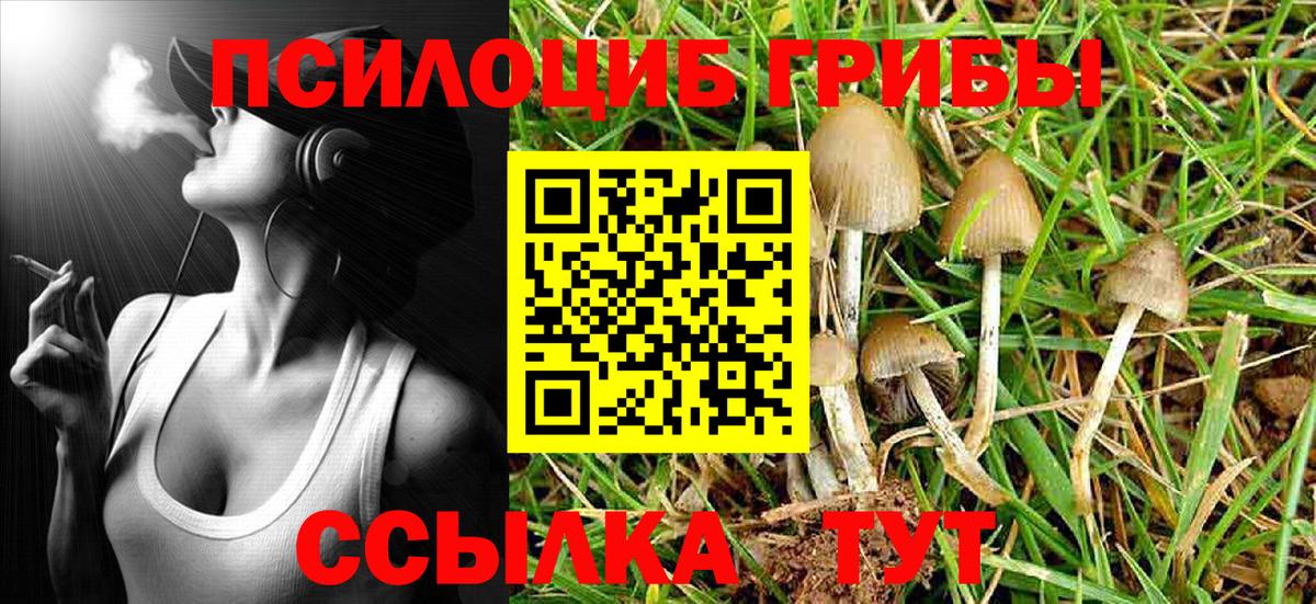 Галлюциногенные грибы ЛСД Балашиха