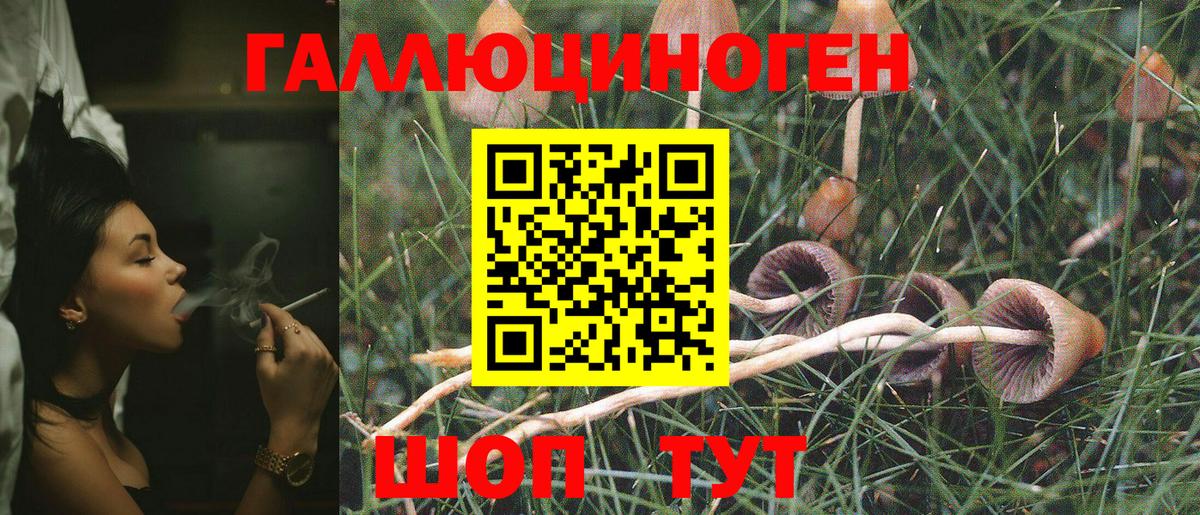 Псилоцибиновые грибы мухоморы  где найти наркотики  Балашиха  Вход с VPN  Псилоцибиновые грибы прущие грибы 