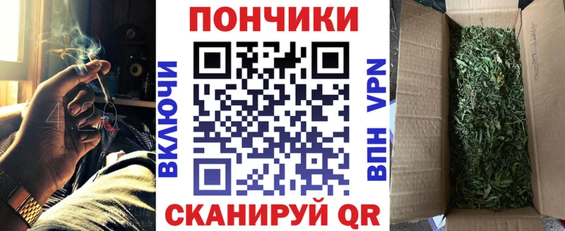 Каннабис ГИДРОПОН  ОМГ ОМГ как войти  Балашиха  как найти наркотики 